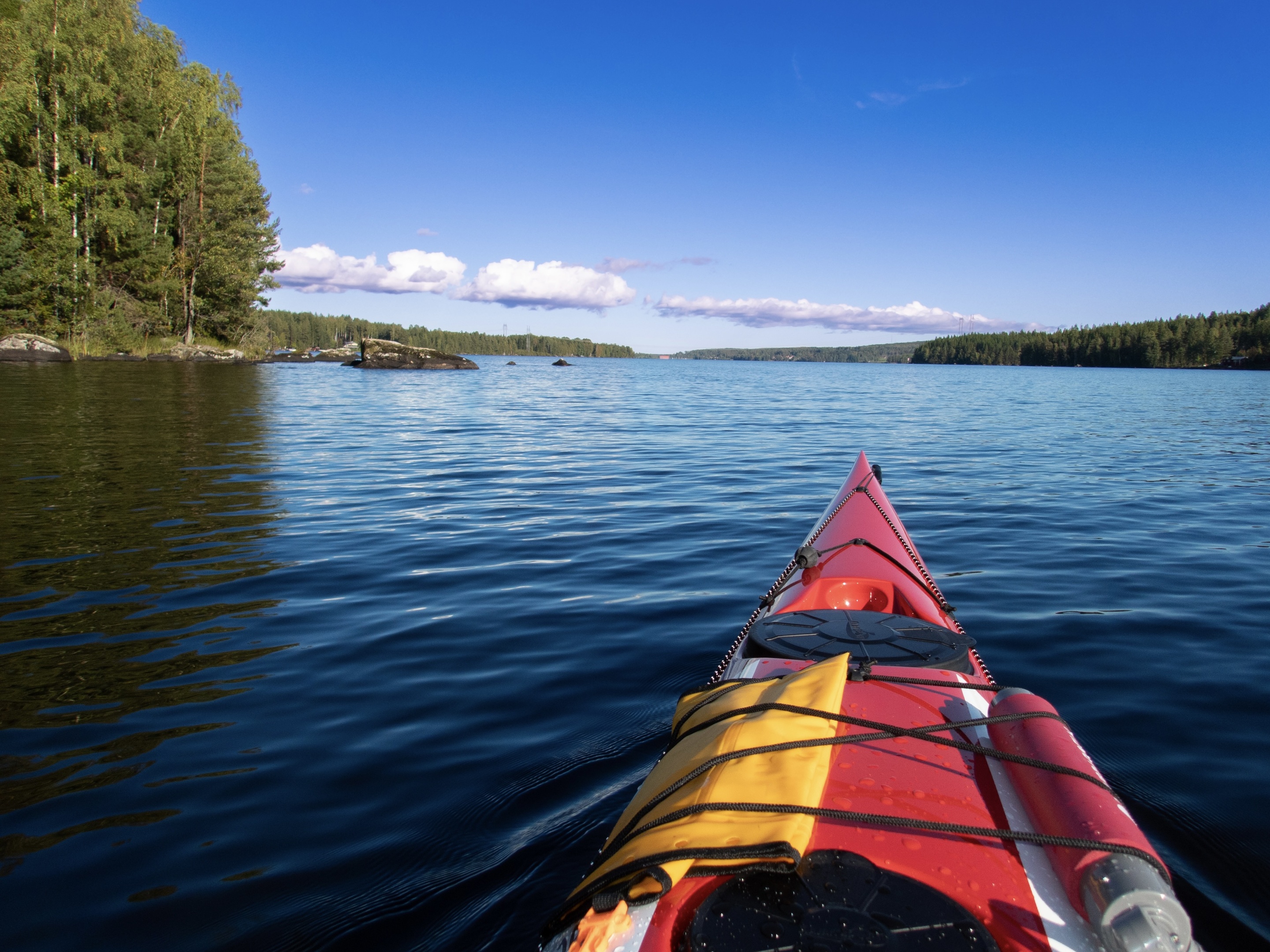 Hiking, forrest, path finding
